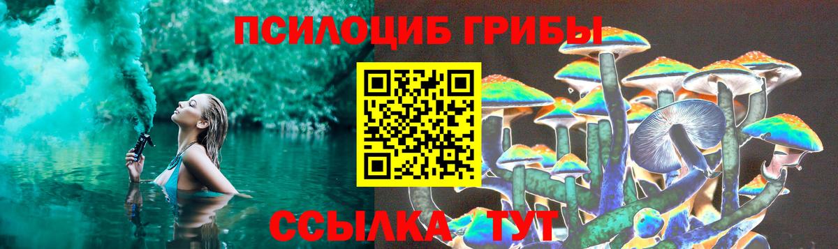 Псилоцибиновые грибы прущие грибы  Вход с VPN  Котовск 