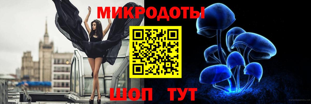 Галлюциногенные грибы Psilocybine cubensis Котовск